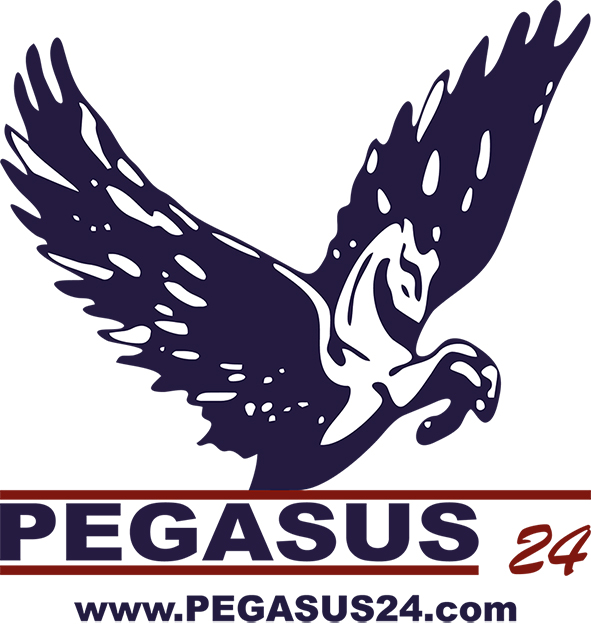 Pegasus24 - Immobilienverkauf in Burghausen